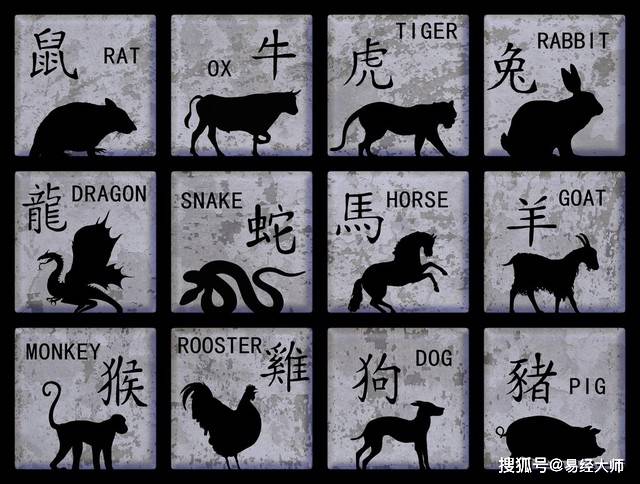 十八四六送特碼，豬虎蛇羊有搞頭打猜一最佳準(zhǔn)確生肖請(qǐng)全面釋義、解釋與落實(shí)、全面解答解釋落實(shí)