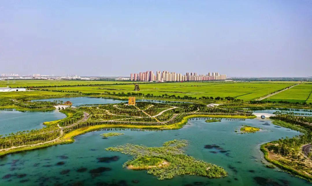 欲錢買風(fēng)風(fēng)火火的動物打一正準(zhǔn)生肖請全面2釋義、解釋與落實、專家解答解釋落實