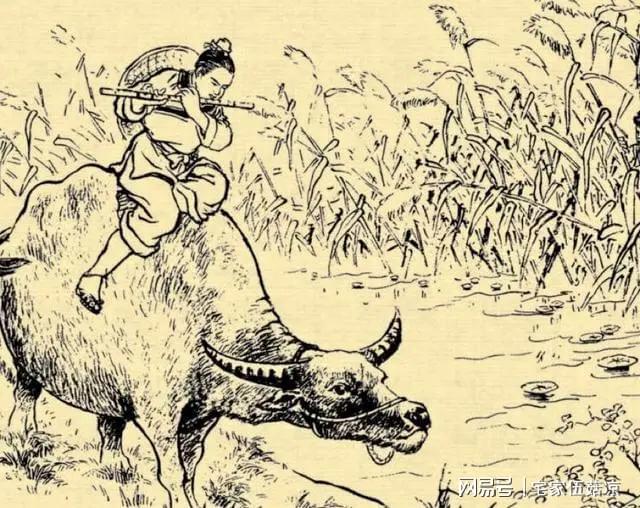 曾經(jīng)滄海難為水春光美好豬蛇牛是什么生肖全面釋義、全面解答解釋落實
