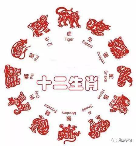 靈鵲報喜，展翅拍翼，世間幸福來尋覓打一最佳精準生肖仔細釋義、解釋與落實、統(tǒng)計解答解釋落實