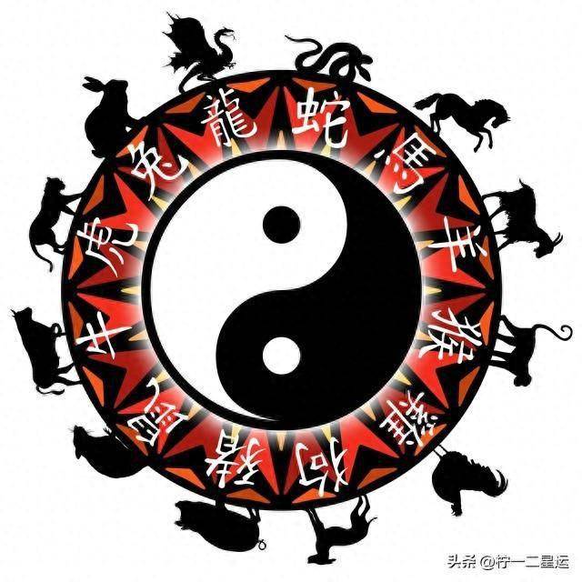 山有木工，八月秋高，天生我才必有用打一正準(zhǔn)生肖請全面2釋義、解釋與落實、實證解答解釋落實