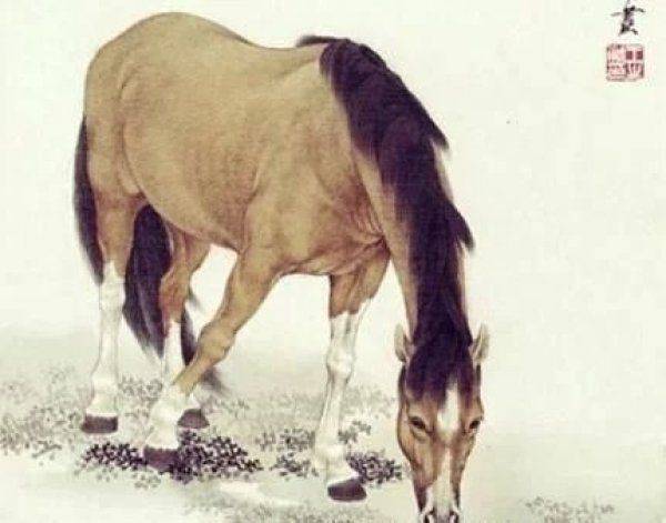 欲錢看馬槽邊上的蒼蠅代表什么生肖，詳細(xì)解答、實(shí)證解答解釋落實(shí)