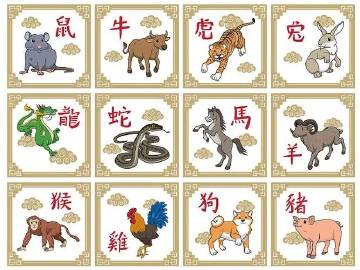 十八四六送特碼，豬虎蛇羊有搞頭打猜一最佳準(zhǔn)確生肖請(qǐng)全面釋義、解釋與落實(shí)、全面解答解釋落實(shí)