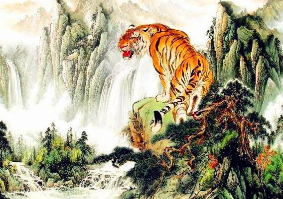 歲月匆匆最無情，力爭上游不要停打一生肖，全面釋義、構(gòu)建解答解釋落實