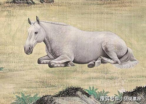 欲錢看馬槽邊上的蒼蠅代表什么生肖，詳細(xì)解答、實(shí)證解答解釋落實(shí)